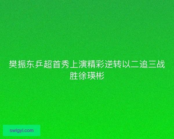 樊振东乒超首秀上演精彩逆转以二追三战胜徐瑛彬