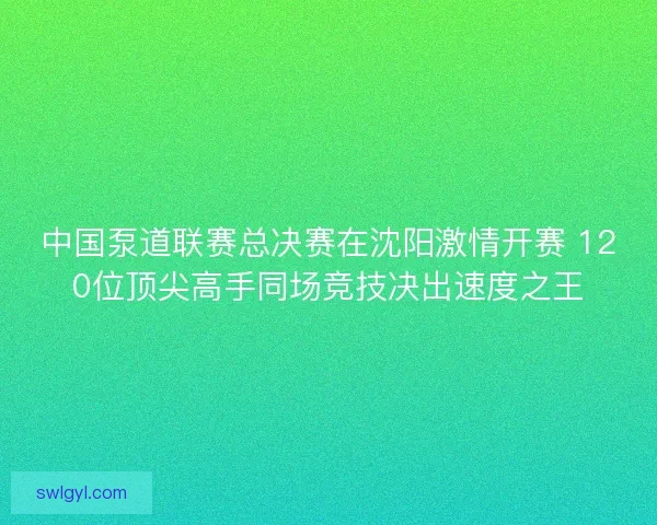 中国泵道联赛总决赛在沈阳激情开赛 120位顶尖高手同场竞技决出速度之王